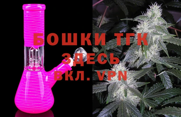 шишки Алексин