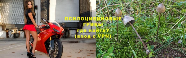 apvp Бабаево